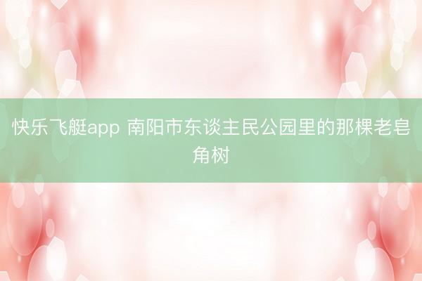 快乐飞艇app 南阳市东谈主民公园里的那棵老皂角树